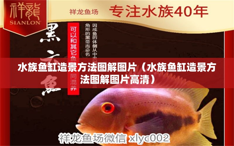 水族魚(yú)缸造景方法圖解圖片（水族魚(yú)缸造景方法圖解圖片高清） 羅漢魚(yú)