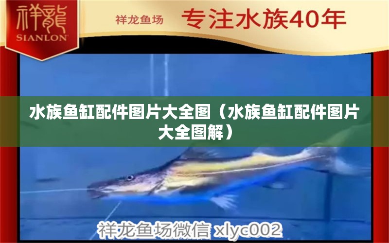 水族魚(yú)缸配件圖片大全圖（水族魚(yú)缸配件圖片大全圖解）