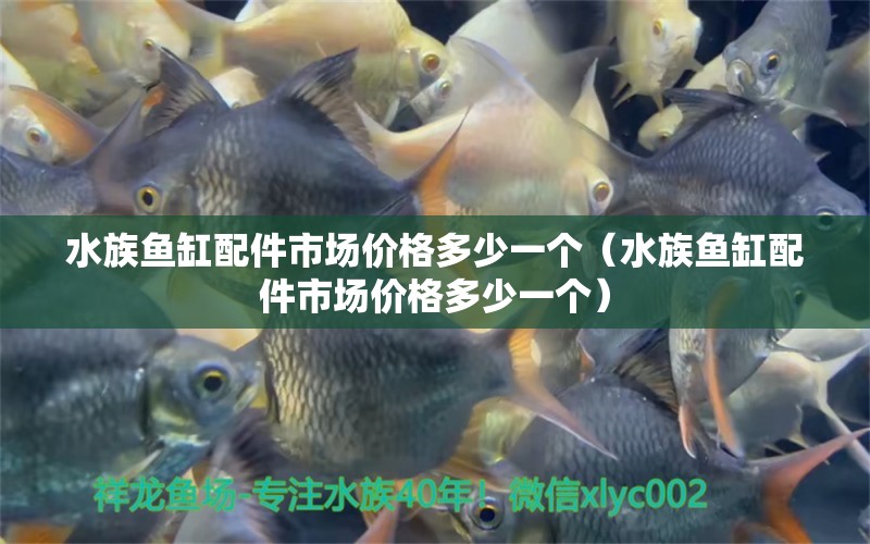 水族魚缸配件市場價(jià)格多少一個(gè)（水族魚缸配件市場價(jià)格多少一個(gè)） B級(jí)過背金龍魚