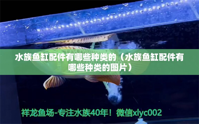 水族魚缸配件有哪些種類的（水族魚缸配件有哪些種類的圖片） 祥龍水族醫(yī)院