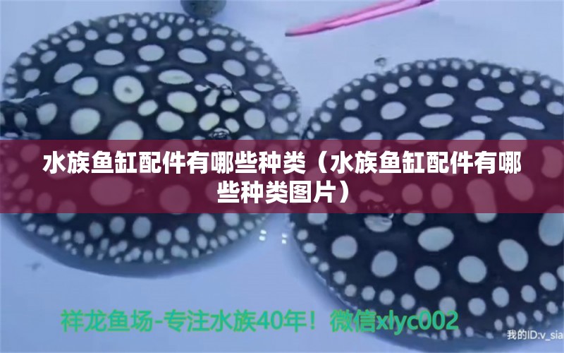 水族魚(yú)缸配件有哪些種類(lèi)（水族魚(yú)缸配件有哪些種類(lèi)圖片）