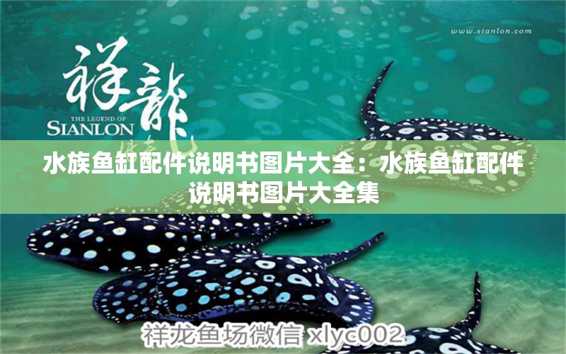 水族魚缸配件說明書圖片大全：水族魚缸配件說明書圖片大全集