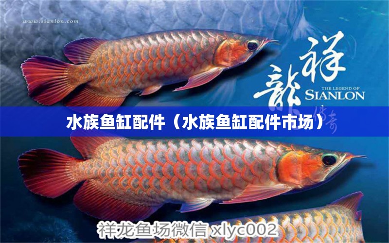 水族魚(yú)缸配件（水族魚(yú)缸配件市場(chǎng)） 大白鯊魚(yú)