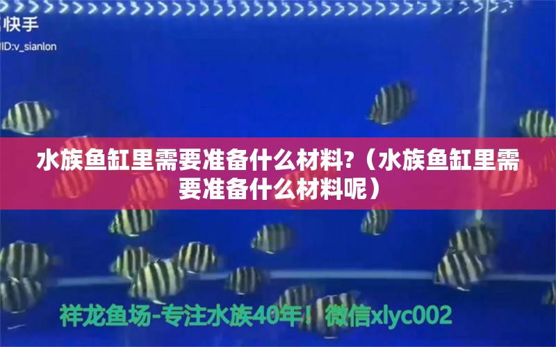 水族魚缸里需要準(zhǔn)備什么材料?（水族魚缸里需要準(zhǔn)備什么材料呢）