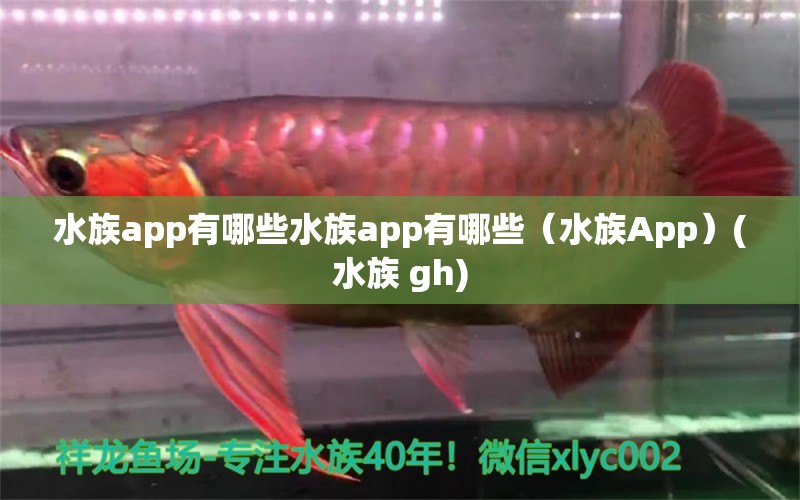 水族app有哪些水族app有哪些（水族App）(水族 gh) 紅龍魚魚糧飼料