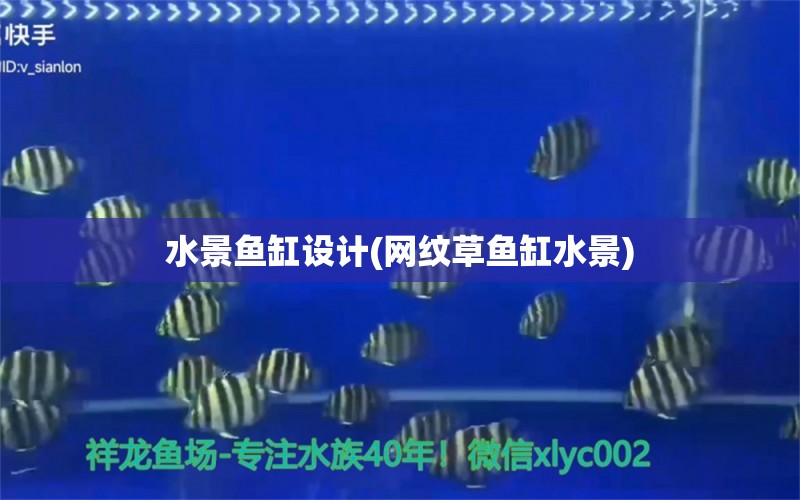 水景魚缸設(shè)計(jì)(網(wǎng)紋草魚缸水景) 綠皮辣椒小紅龍