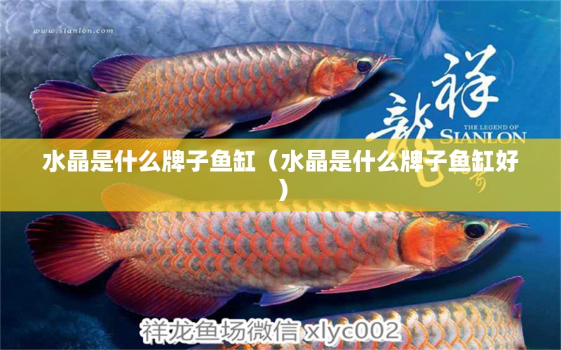 水晶是什么牌子魚缸（水晶是什么牌子魚缸好）