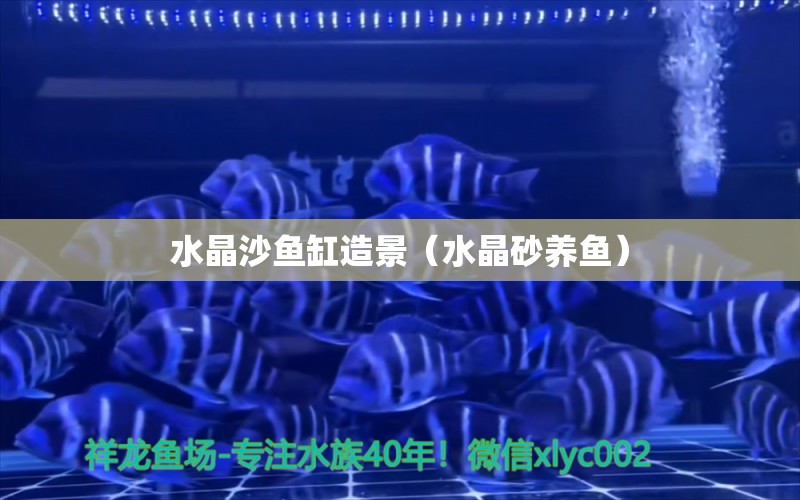 水晶沙魚缸造景（水晶砂養(yǎng)魚） 申古三間魚