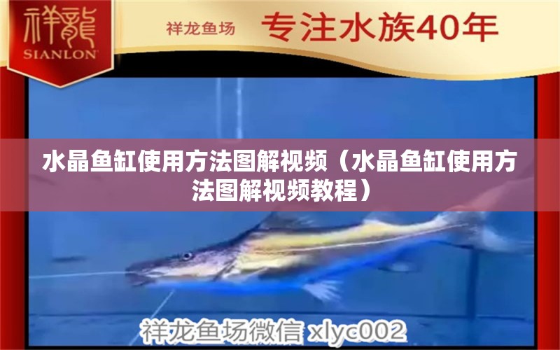 水晶魚缸使用方法圖解視頻（水晶魚缸使用方法圖解視頻教程）