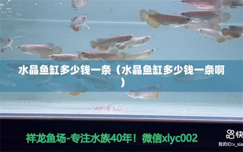 水晶魚缸多少錢一條（水晶魚缸多少錢一條?。? title=