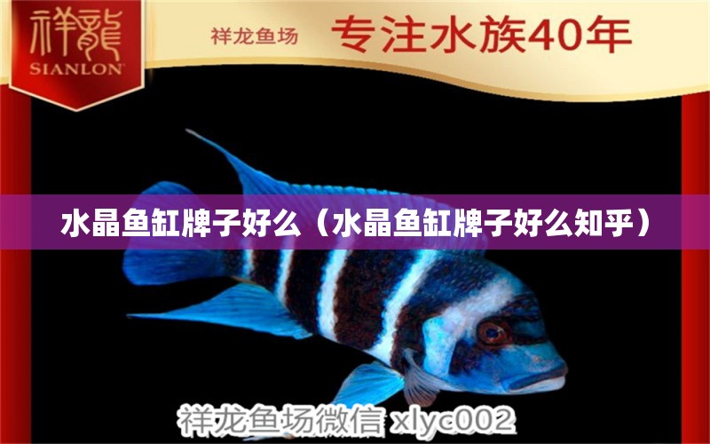 水晶魚缸牌子好么（水晶魚缸牌子好么知乎）