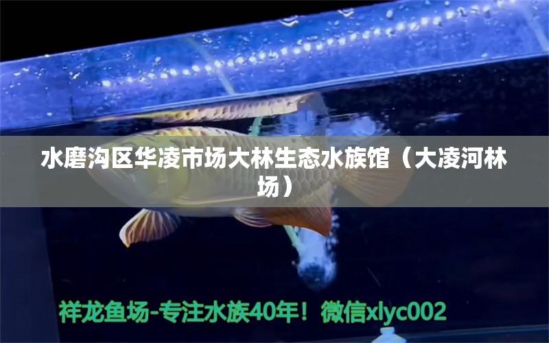 水磨溝區(qū)華凌市場(chǎng)大林生態(tài)水族館（大凌河林場(chǎng)）