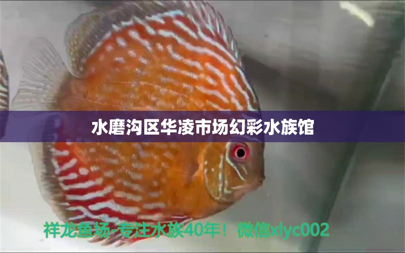 水磨溝區(qū)華凌市場(chǎng)幻彩水族館