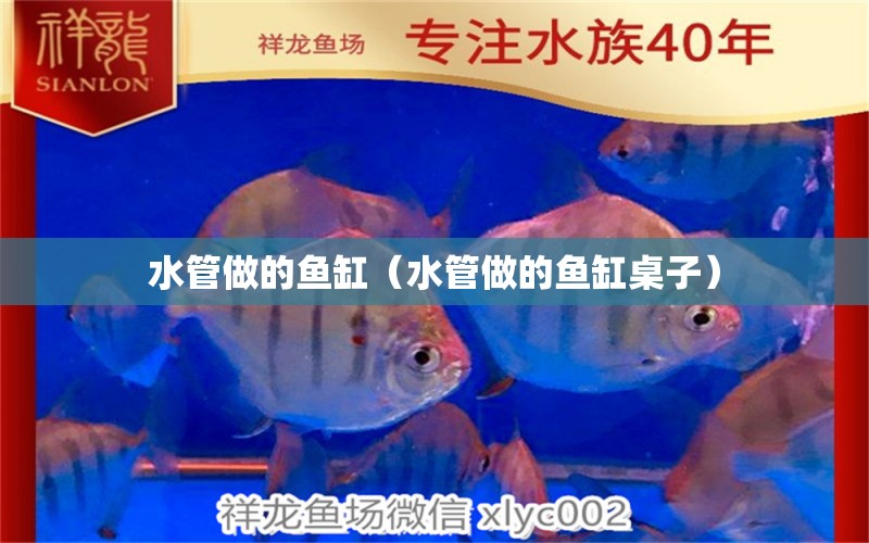 水管做的魚缸（水管做的魚缸桌子）