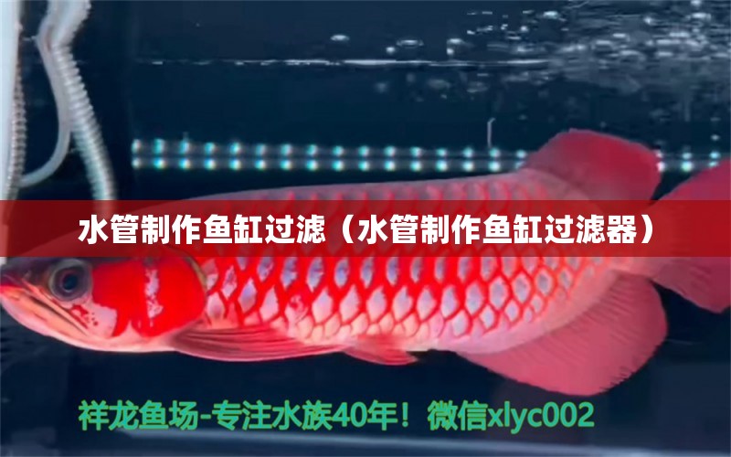 水管制作魚缸過濾（水管制作魚缸過濾器）