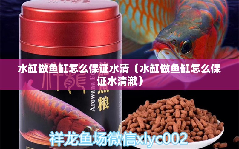 水缸做魚缸怎么保證水清（水缸做魚缸怎么保證水清澈） 觀賞龜/鱉飼料