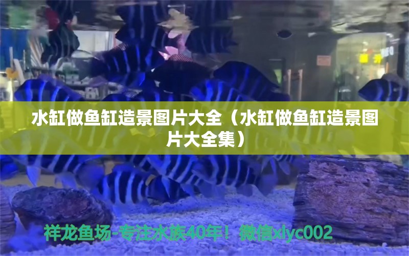 水缸做魚缸造景圖片大全（水缸做魚缸造景圖片大全集）