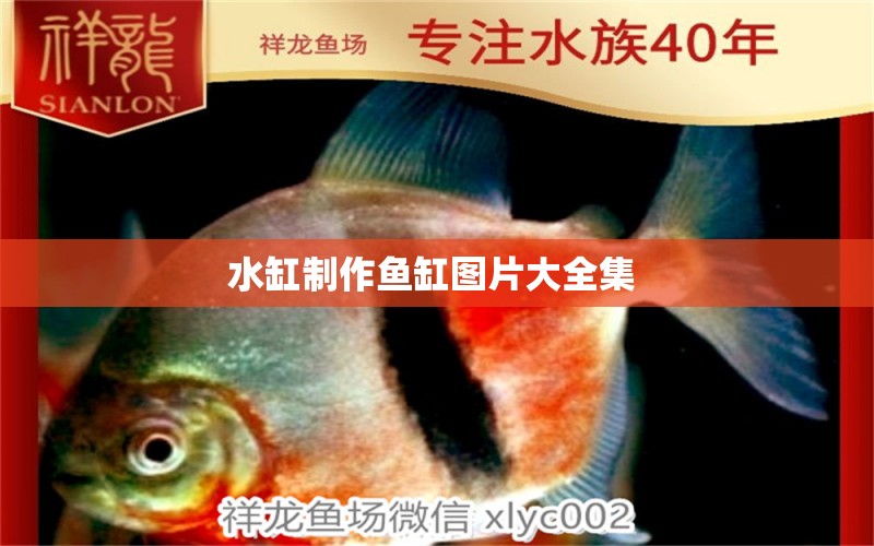 水缸制作魚缸圖片大全集 