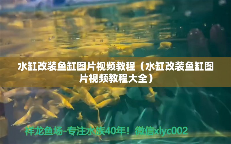 水缸改裝魚缸圖片視頻教程（水缸改裝魚缸圖片視頻教程大全） 祥龍水族醫(yī)院