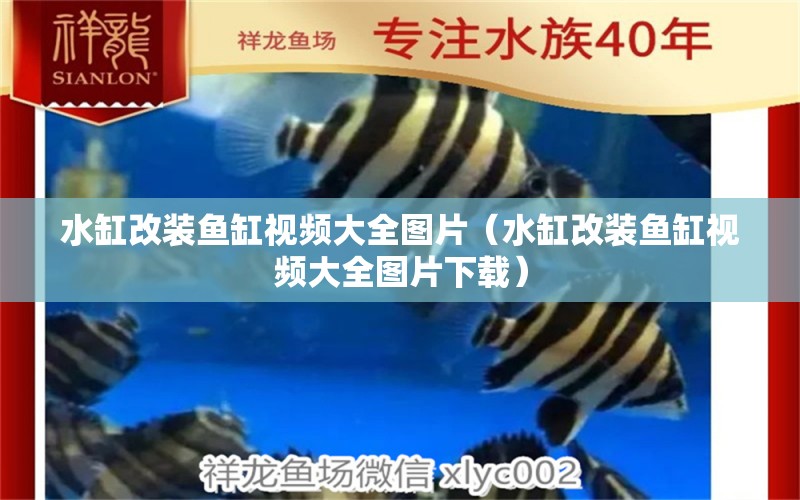 水缸改裝魚缸視頻大全圖片（水缸改裝魚缸視頻大全圖片下載） 祥龍水族醫(yī)院