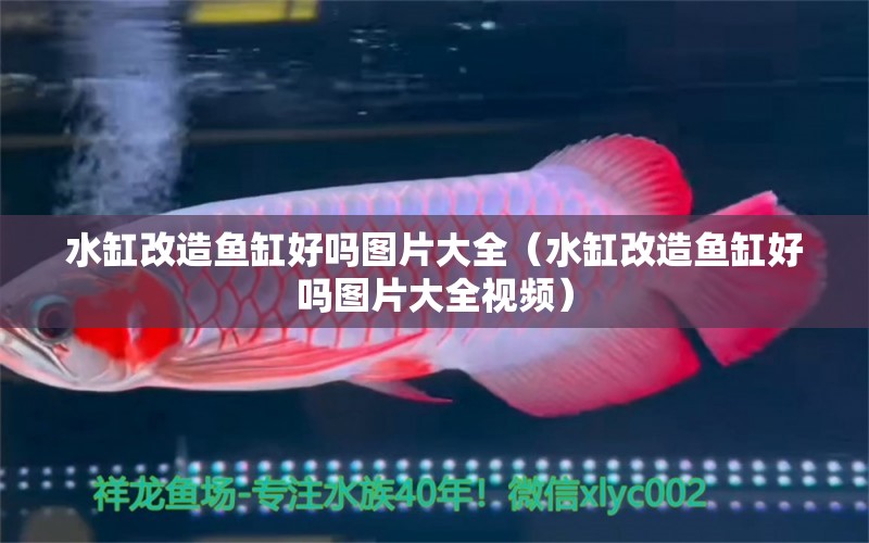 水缸改造魚缸好嗎圖片大全（水缸改造魚缸好嗎圖片大全視頻）