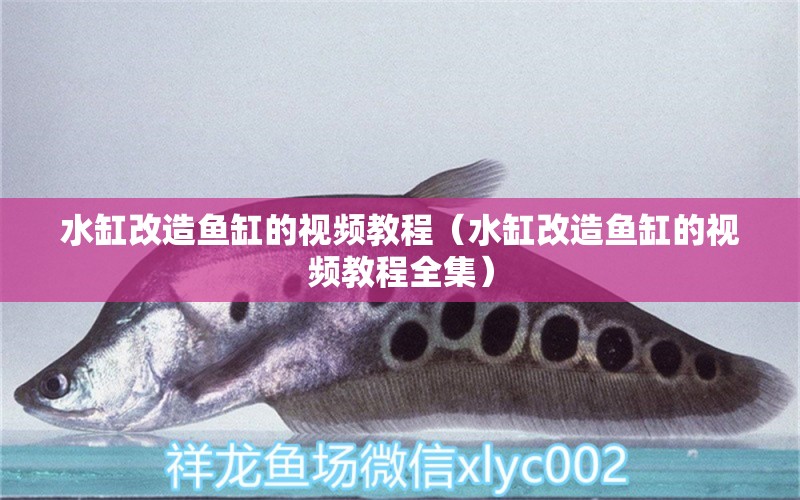 水缸改造魚缸的視頻教程（水缸改造魚缸的視頻教程全集）