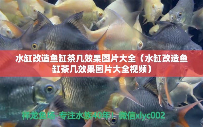 水缸改造魚缸茶幾效果圖片大全（水缸改造魚缸茶幾效果圖片大全視頻）