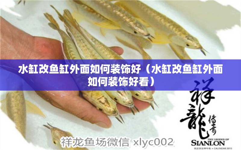 水缸改魚缸外面如何裝飾好（水缸改魚缸外面如何裝飾好看）