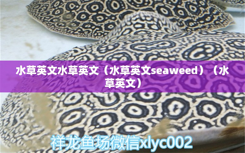 水草英文水草英文（水草英文seaweed）（水草英文）