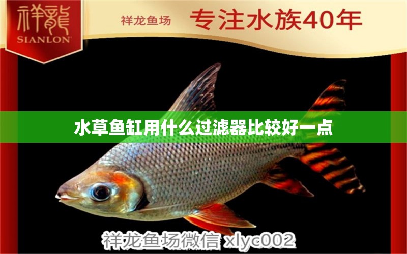 水草魚(yú)缸用什么過(guò)濾器比較好一點(diǎn)