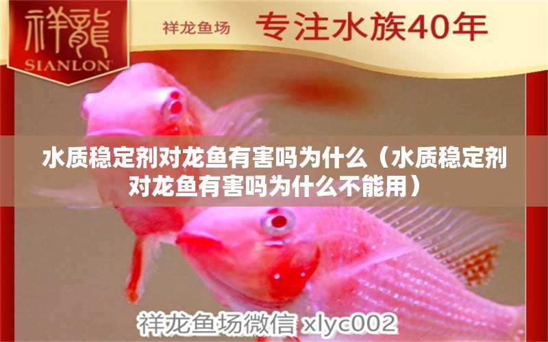 水質(zhì)穩(wěn)定劑對龍魚有害嗎為什么（水質(zhì)穩(wěn)定劑對龍魚有害嗎為什么不能用） 廣州龍魚批發(fā)市場