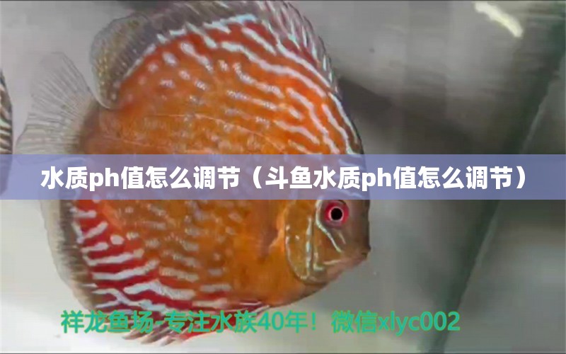 水質(zhì)ph值怎么調(diào)節(jié)（斗魚水質(zhì)ph值怎么調(diào)節(jié)） 海水魚（海水魚批發(fā)）