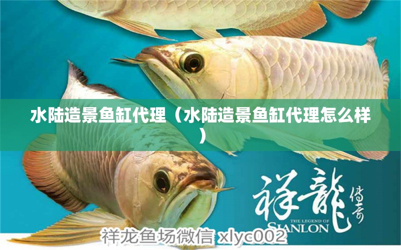 水陸造景魚缸代理（水陸造景魚缸代理怎么樣） 祥龍水族醫(yī)院