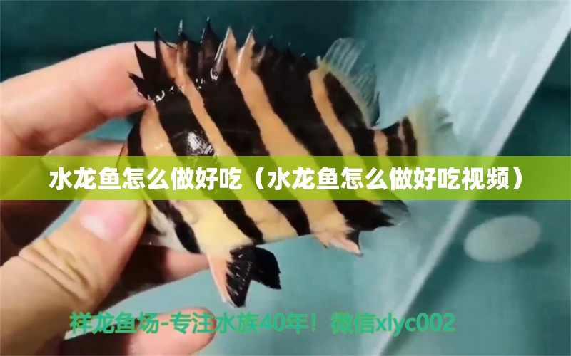 水龍魚怎么做好吃（水龍魚怎么做好吃視頻） 廣州龍魚批發(fā)市場(chǎng)