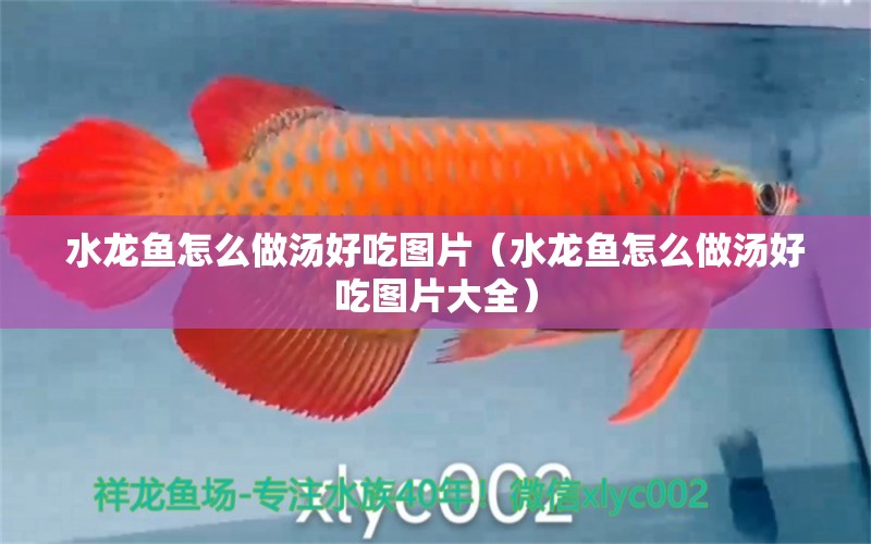 水龍魚怎么做湯好吃圖片（水龍魚怎么做湯好吃圖片大全） 廣州龍魚批發(fā)市場