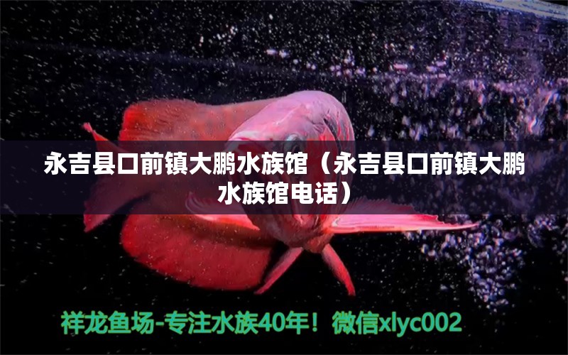 永吉縣口前鎮(zhèn)大鵬水族館（永吉縣口前鎮(zhèn)大鵬水族館電話）