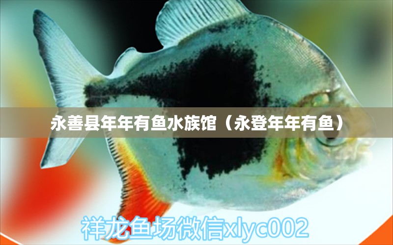 永善縣年年有魚水族館（永登年年有魚）