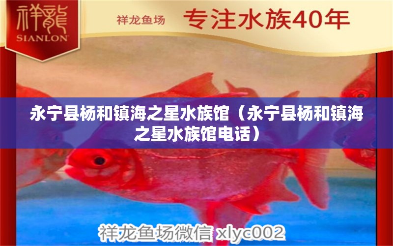 永寧縣楊和鎮(zhèn)海之星水族館（永寧縣楊和鎮(zhèn)海之星水族館電話）