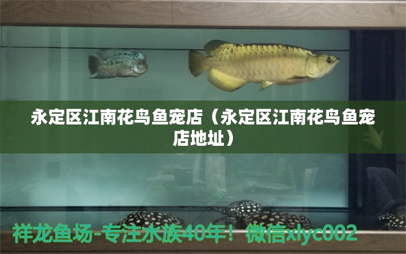 永定區(qū)江南花鳥魚寵店（永定區(qū)江南花鳥魚寵店地址）