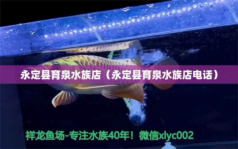 永定縣育泉水族店（永定縣育泉水族店電話） 全國(guó)水族館企業(yè)名錄