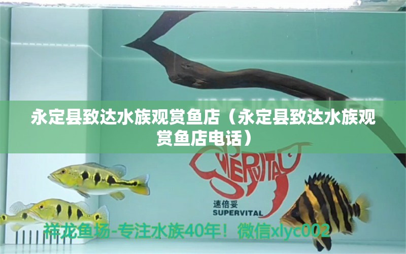 永定縣致達(dá)水族觀賞魚店（永定縣致達(dá)水族觀賞魚店電話）