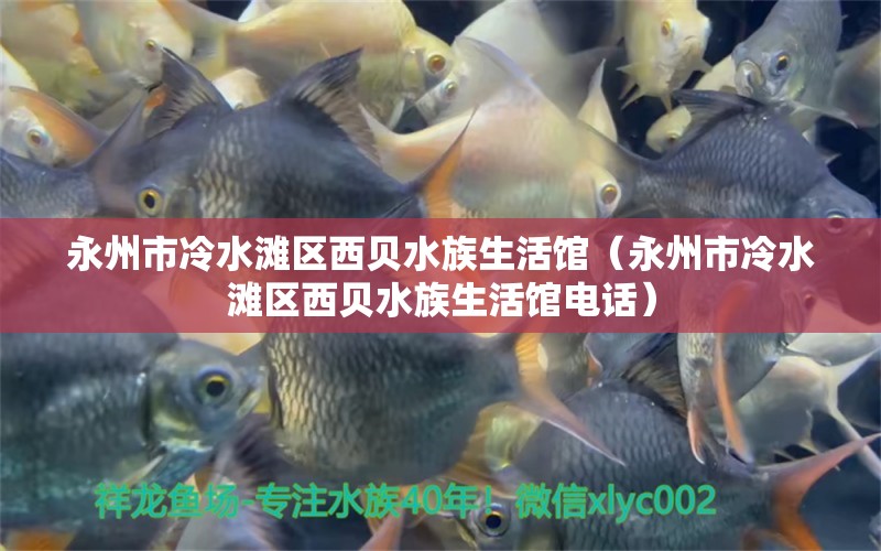 永州市冷水灘區(qū)西貝水族生活館（永州市冷水灘區(qū)西貝水族生活館電話）