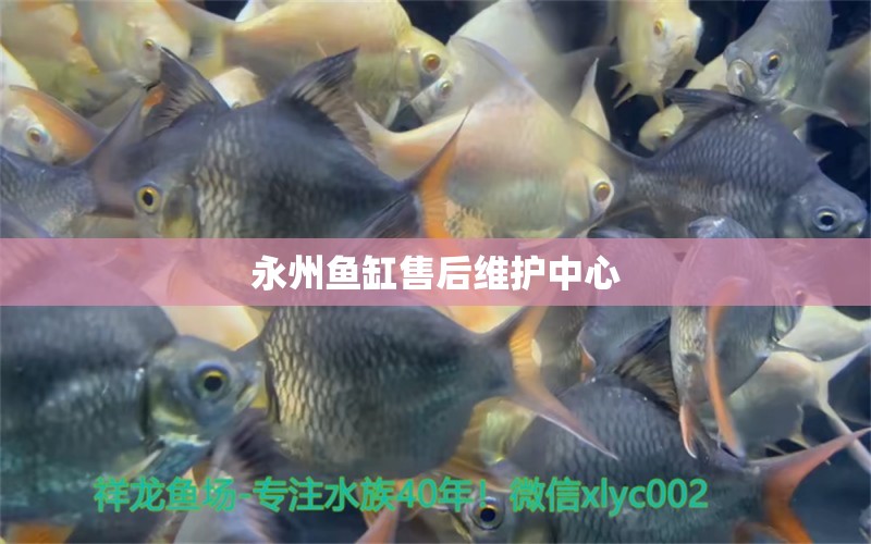 永州魚(yú)缸售后維護(hù)中心 其他品牌魚(yú)缸