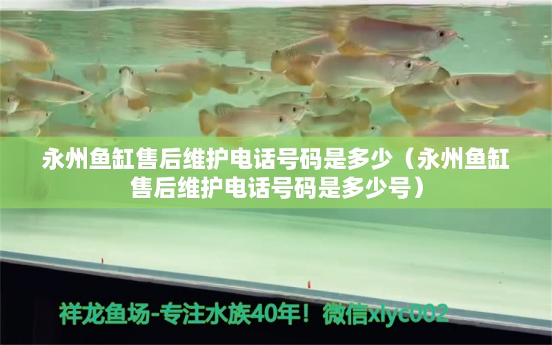 永州魚缸售后維護(hù)電話號(hào)碼是多少（永州魚缸售后維護(hù)電話號(hào)碼是多少號(hào)）