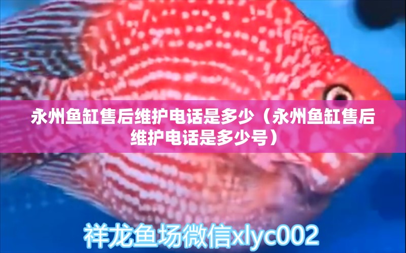 永州魚缸售后維護(hù)電話是多少（永州魚缸售后維護(hù)電話是多少號(hào)）