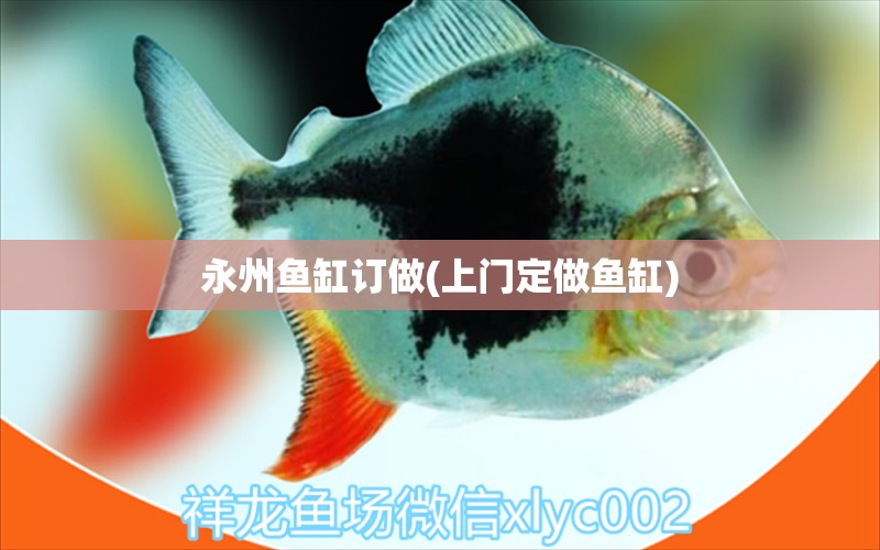 永州魚缸訂做(上門定做魚缸) 名貴錦鯉魚