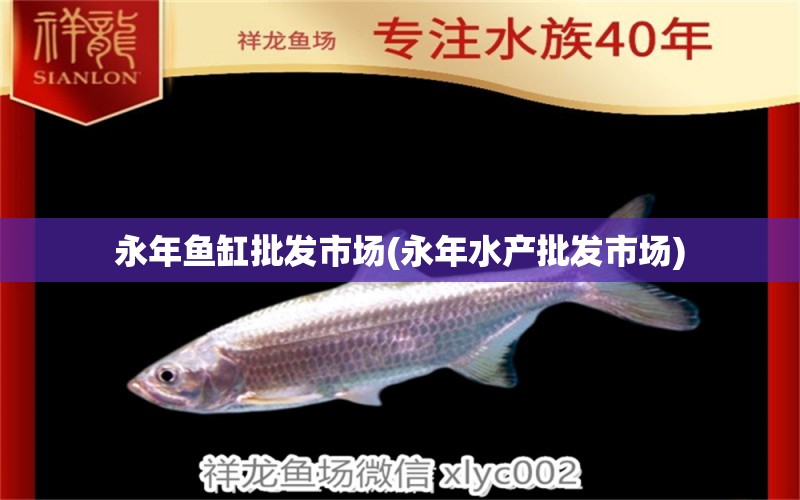 永年魚缸批發(fā)市場(永年水產(chǎn)批發(fā)市場) 蘇虎 第1張