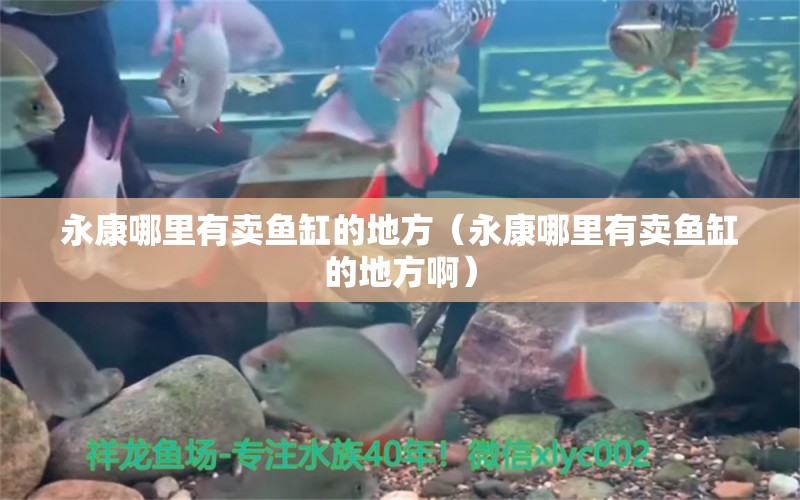 永康哪里有賣(mài)魚(yú)缸的地方（永康哪里有賣(mài)魚(yú)缸的地方?。?祥龍水族醫(yī)院