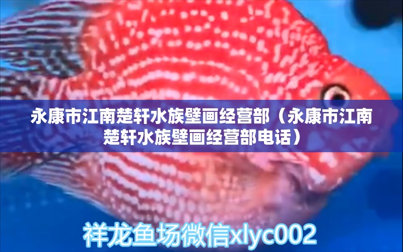 永康市江南楚軒水族壁畫經(jīng)營部（永康市江南楚軒水族壁畫經(jīng)營部電話）