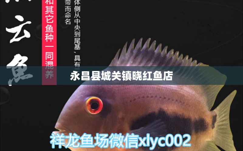 永昌縣城關(guān)鎮(zhèn)曉紅魚店 全國(guó)水族館企業(yè)名錄